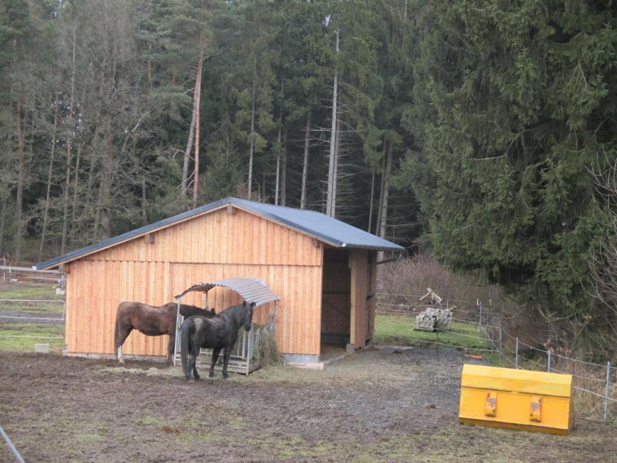 Apartamento Baerenhof Tirschenreuth Exterior foto